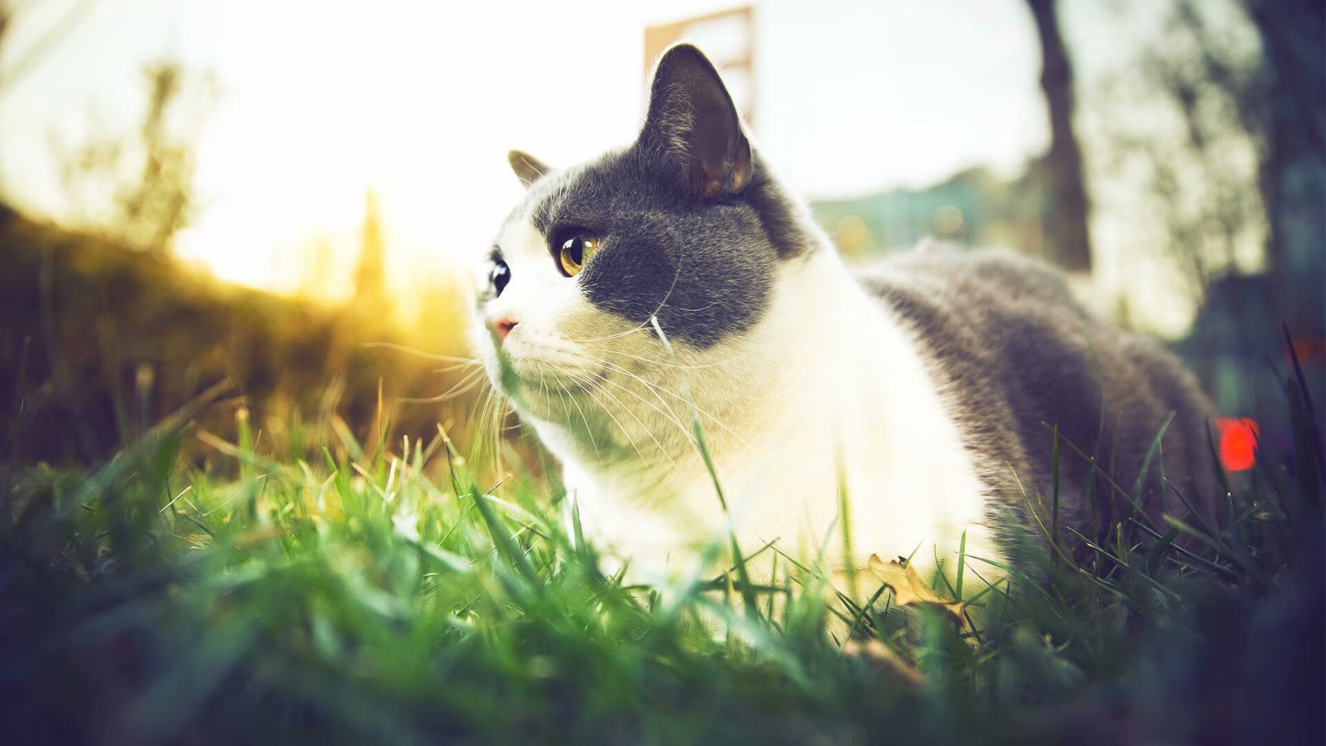 VALORANT 战队阵容调整成效显著,valorant联赛