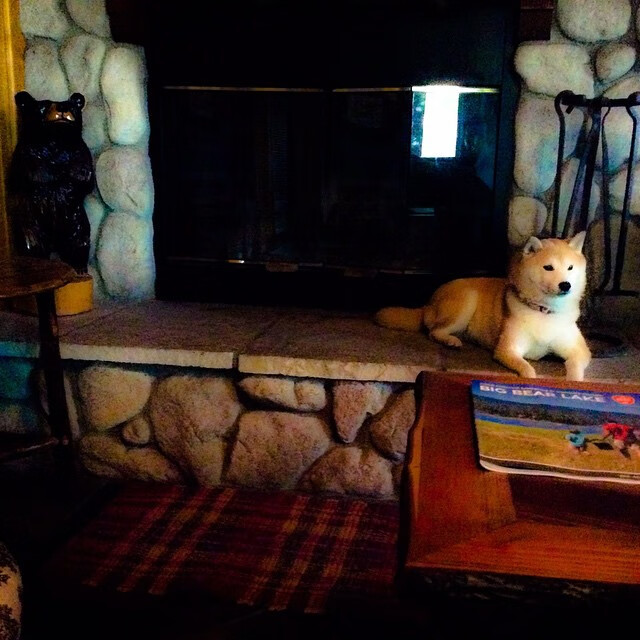 VALORANT 新地图赛场首现 选手适应成关键,valorant比赛规则