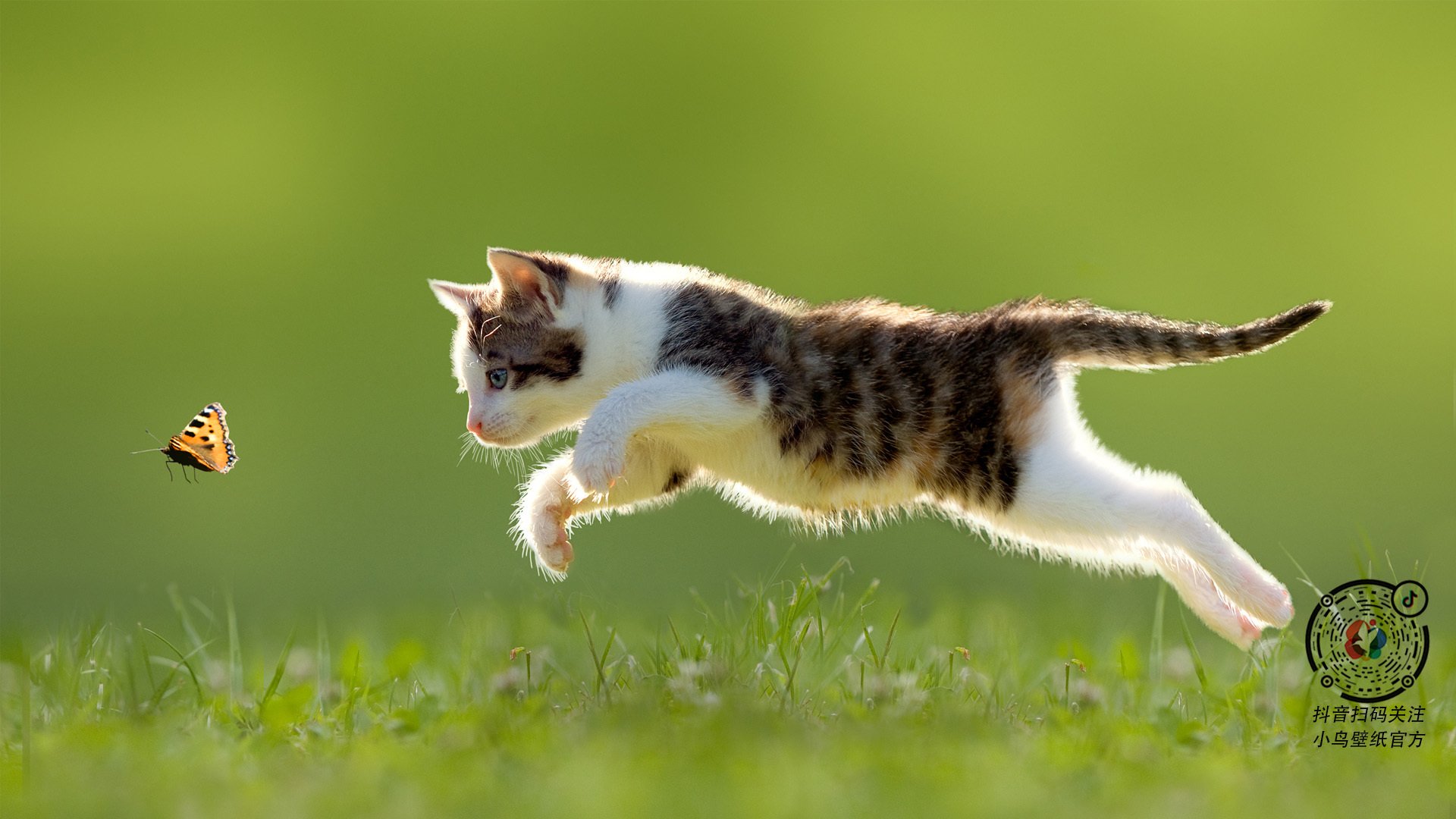 全国青少年“践行绿色”篮球比赛在湖北恩施顺利举办,全国青少年蓝球比赛