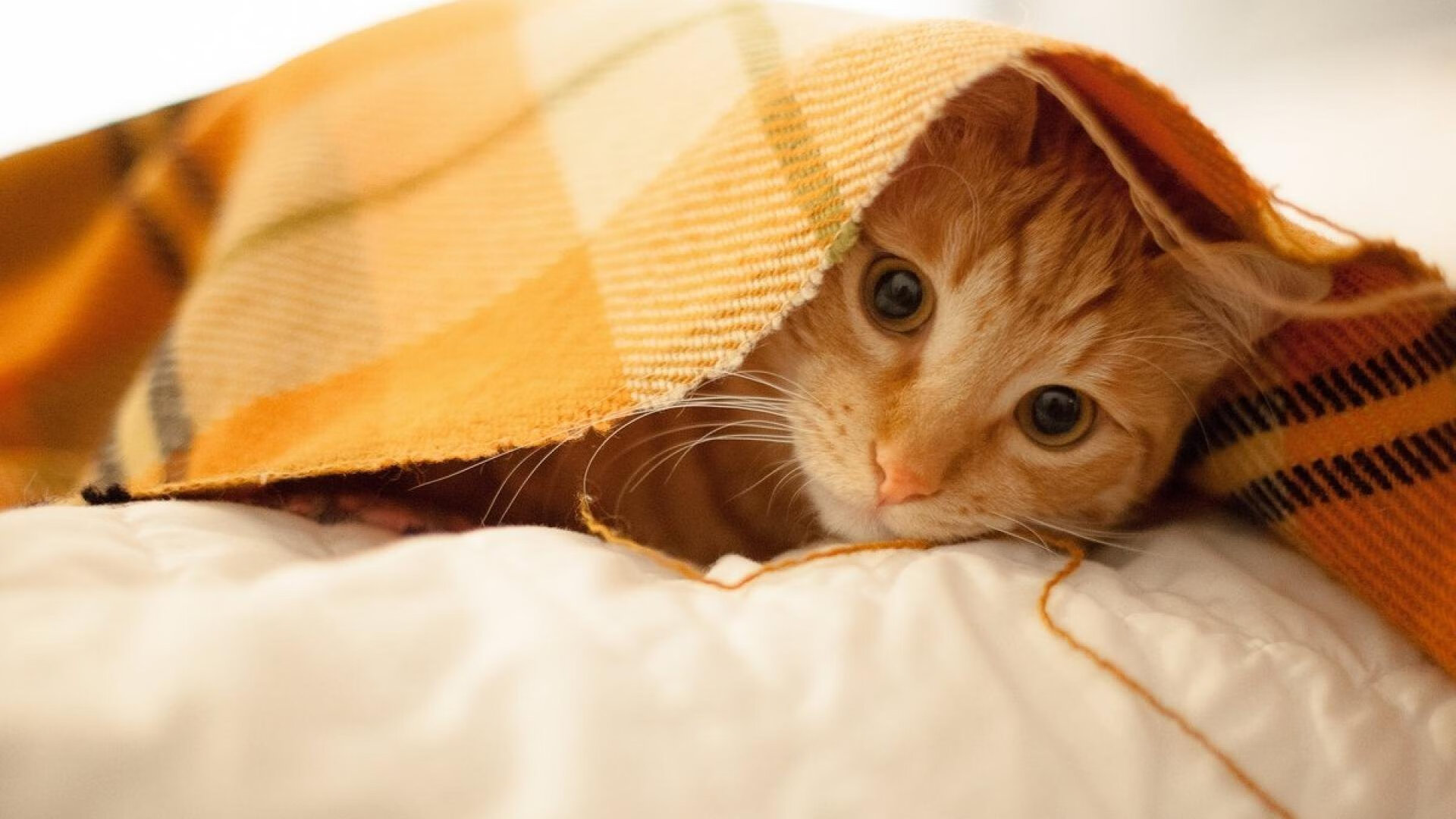 AIYOUXI.COM-全国青少年“追梦星空”星光篮球夜市在苏州盛大举行，太原星光篮球