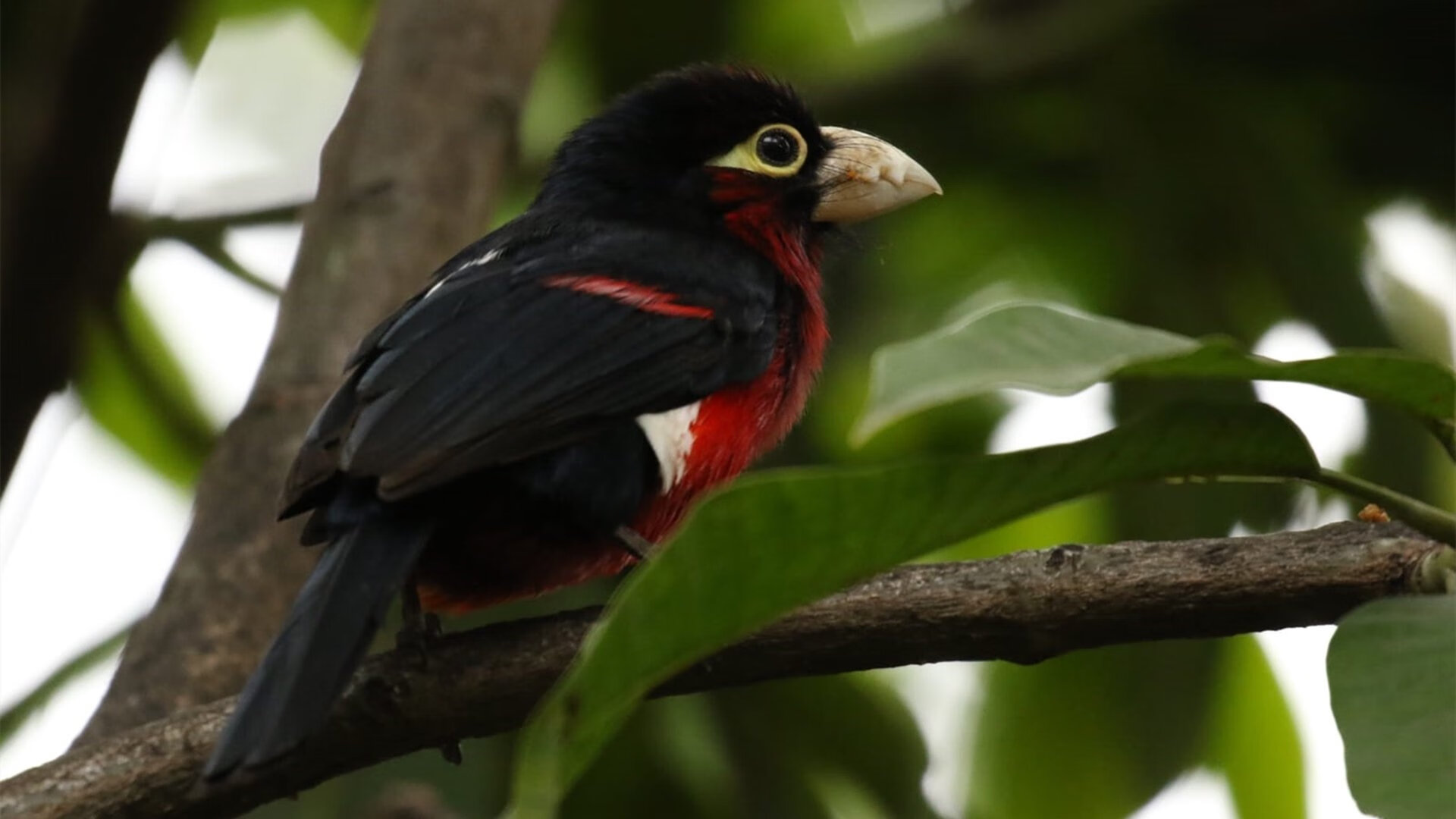 上海海港俱乐部管理层调整,上海海港足球俱乐部_4名新援亮相全力备战新赛季
