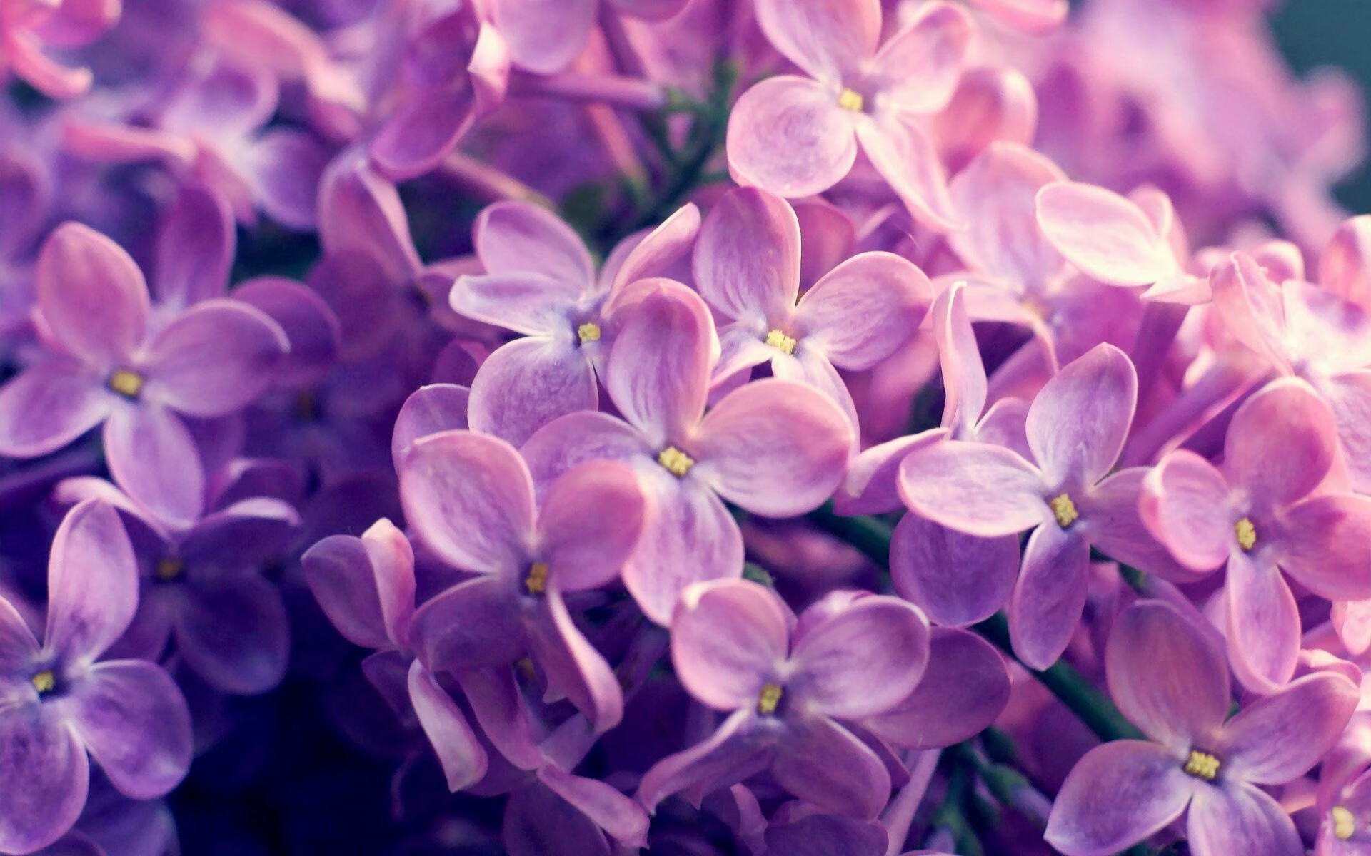 亚洲球队再度闯入赛场,面对来自世界各地的挑战,亚洲足球锦标赛赛程