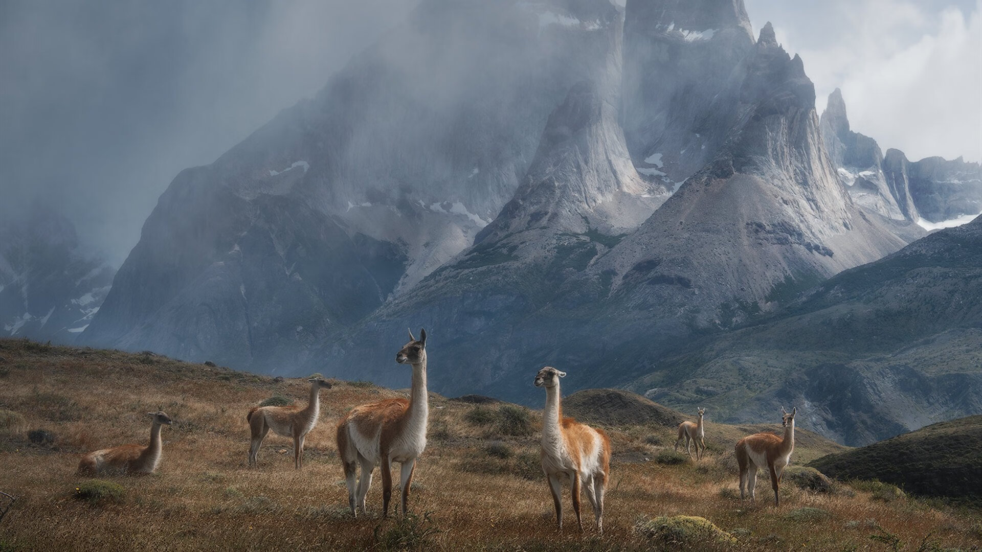 AIYOUXI.COM-曼城完胜皇马，成功挺进半决赛！，曼城对皇马比分结果