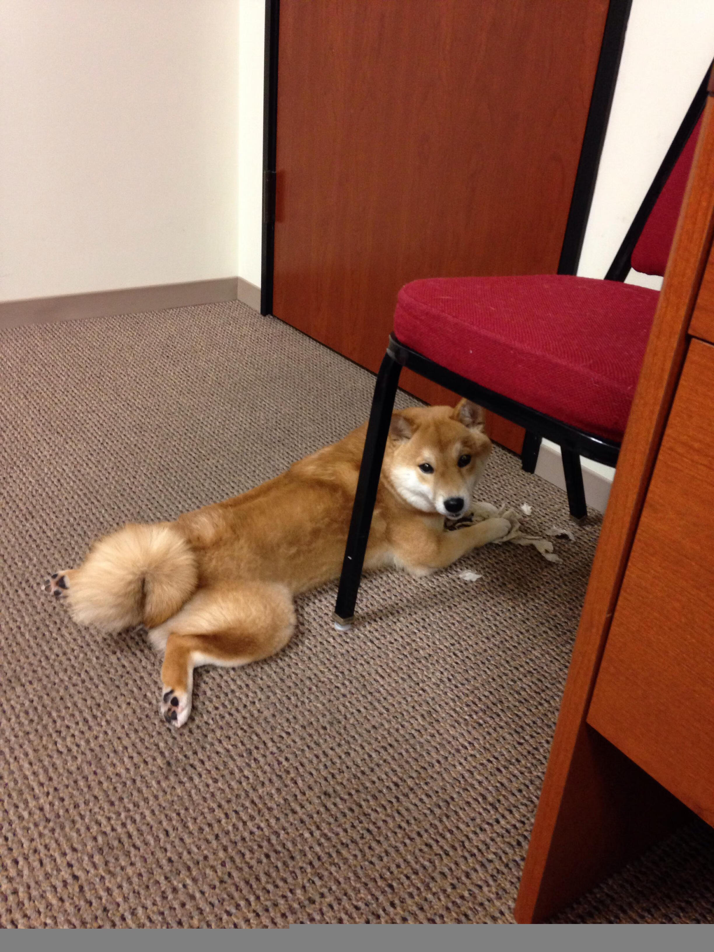 爱游戏电竞官网-曼城客场-小胜本菲卡，稳固小组第一，曼城小球迷