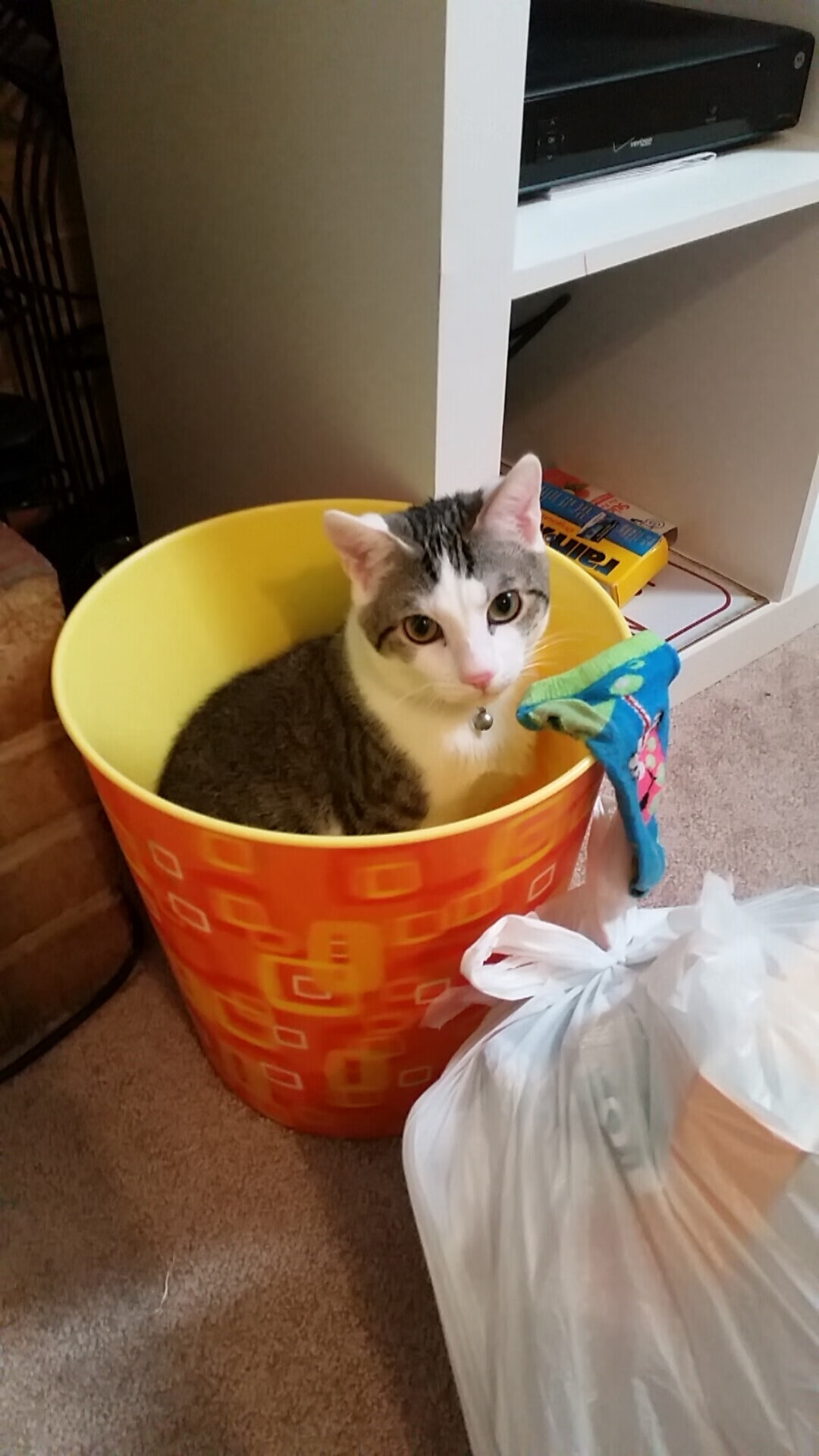 爱游戏在线登录入口-贵州男篮惨遭失利，依然保持信心，贵州省男篮