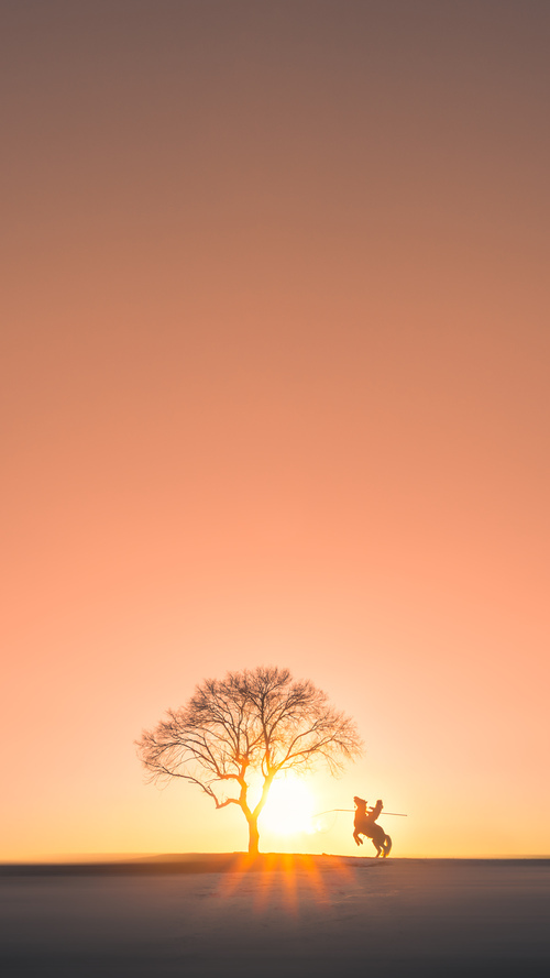 国际足联官方宣布2026年世界杯扩军政策,国际足联官方宣布2026年世界杯扩军政策