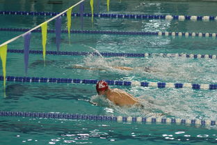 爱游戏娱乐平台-张雨霏自由泳赛段发力迅速，张雨霏自由泳实力